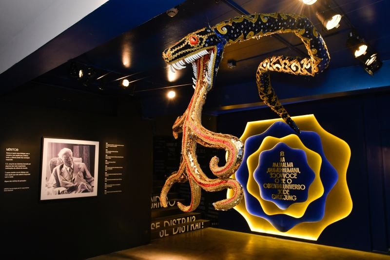 A alma humana: você e universo de Carl Gustav Jung